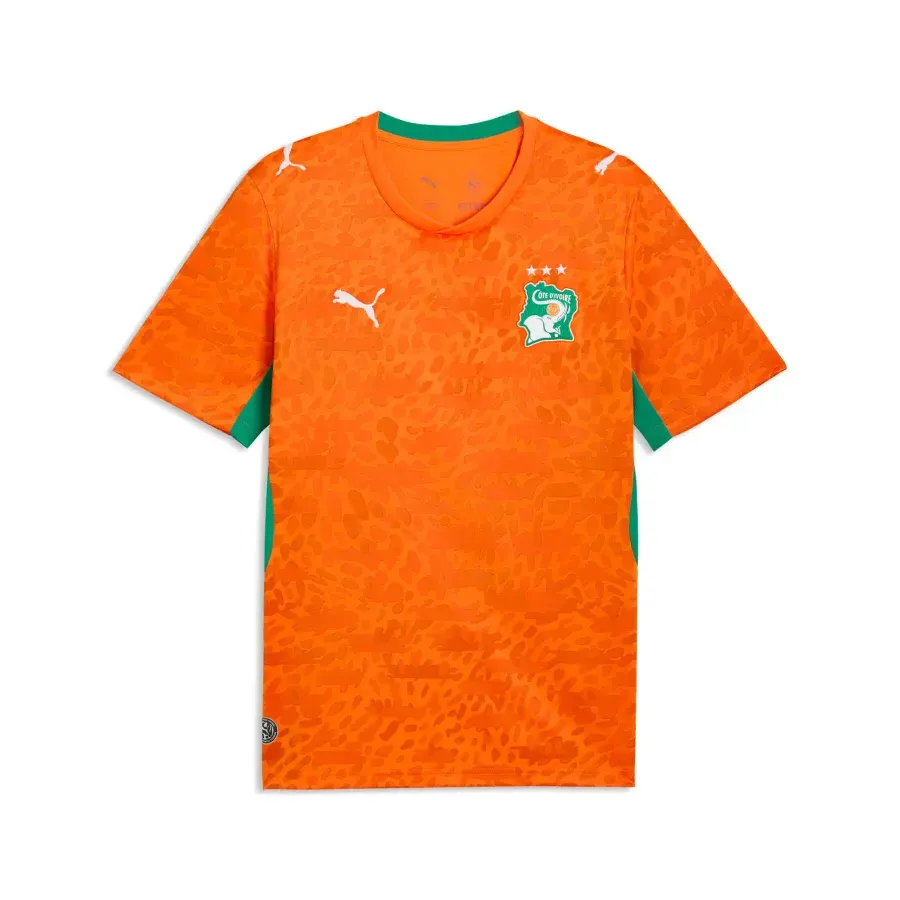 Maillot Domicile Cote Divoire 2026-2027 — Orange